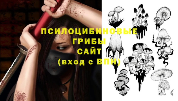 бошки Алексеевка