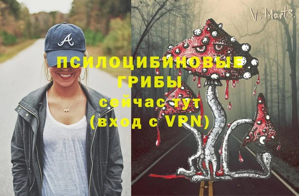 мет Алзамай