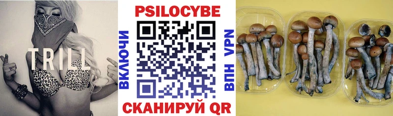 нарко площадка клад  Пучеж  Псилоцибиновые грибы мухоморы  блэк спрут как войти 
